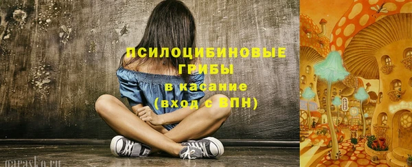 стаф Верхний Тагил
