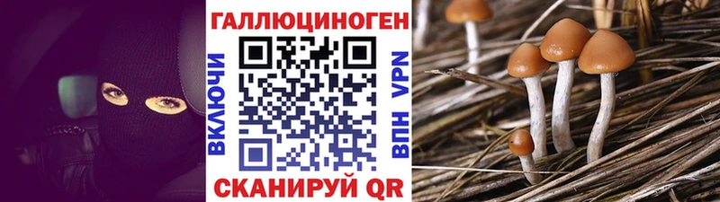 где купить наркоту  Сортавала  маркетплейс телеграм  Псилоцибиновые грибы прущие грибы 